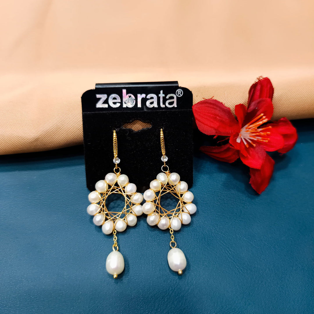 WESTERN EARRINGS - SilverBin