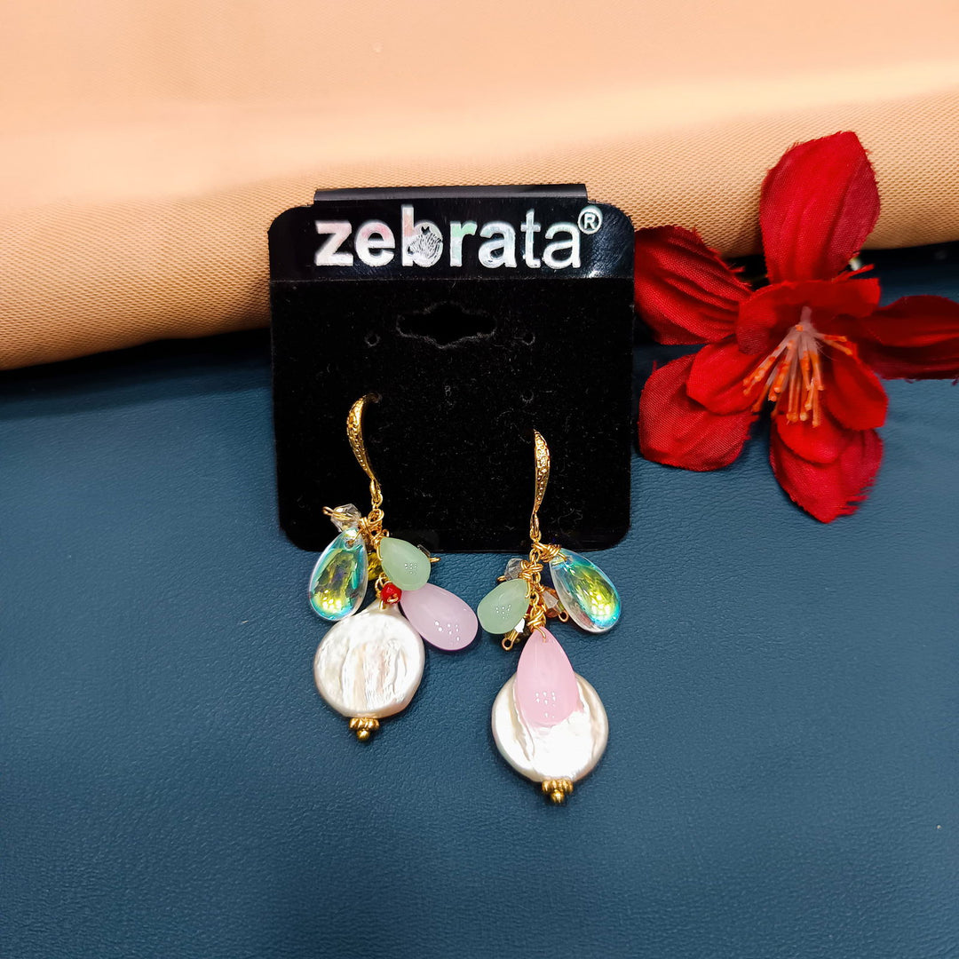 WESTERN EARRINGS - SilverBin