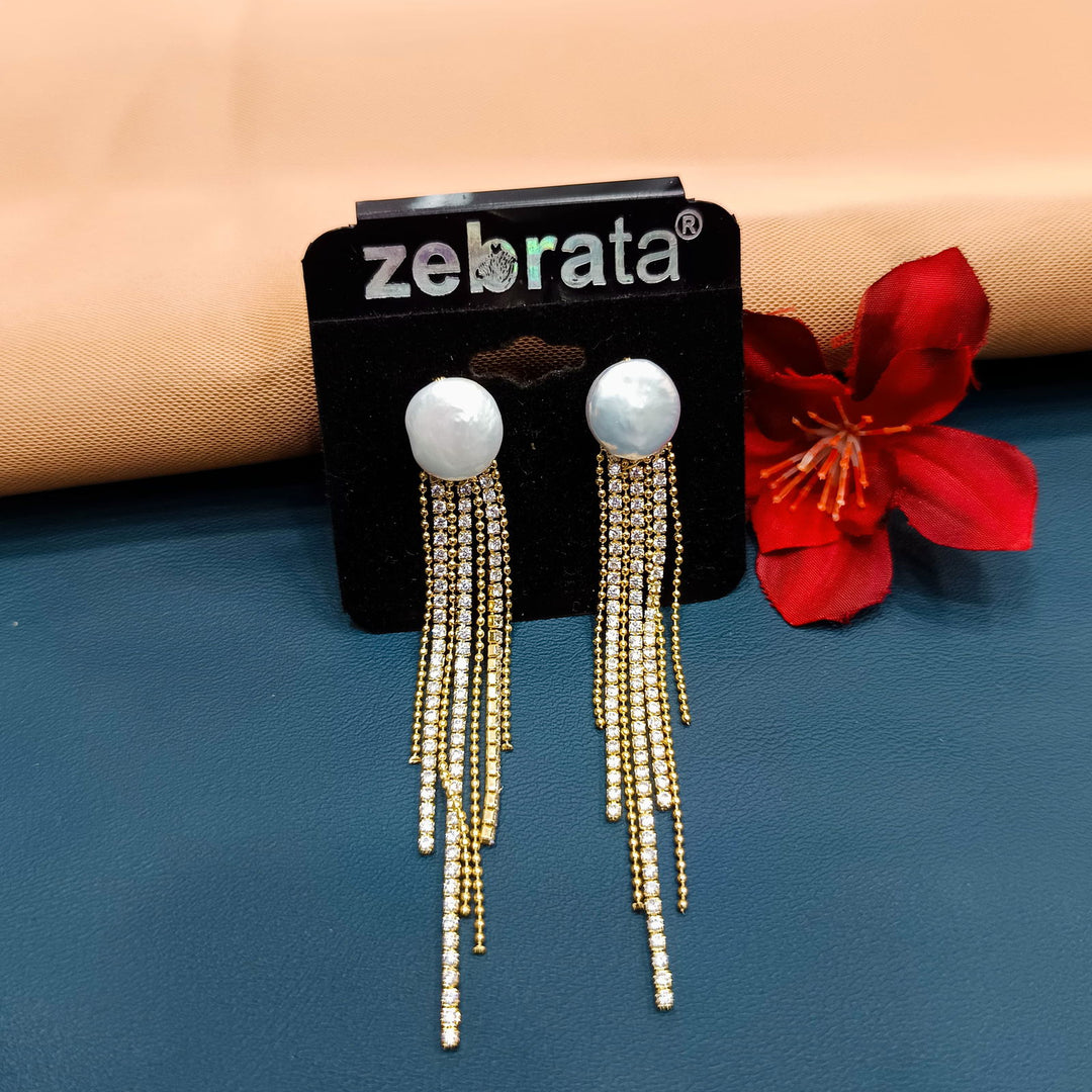 WESTERN EARRINGS - SilverBin