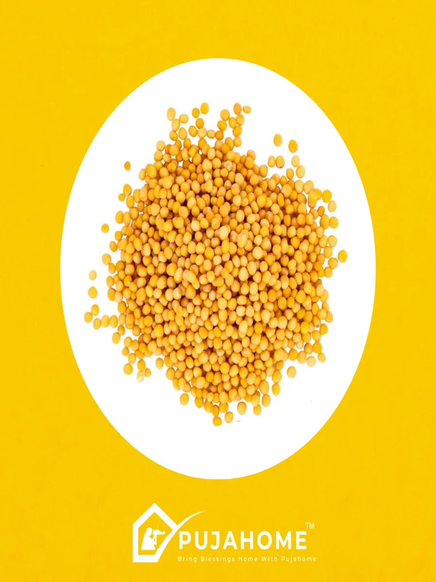 Organic Yellow Mustard Seeds/Pili Sarson