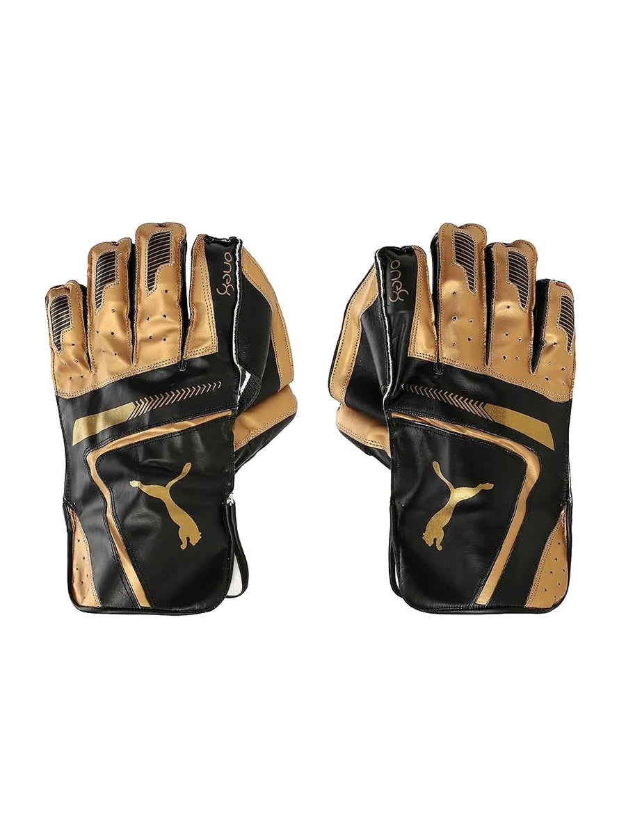 Professional cricket accessories – shop durable and high-performance gear.