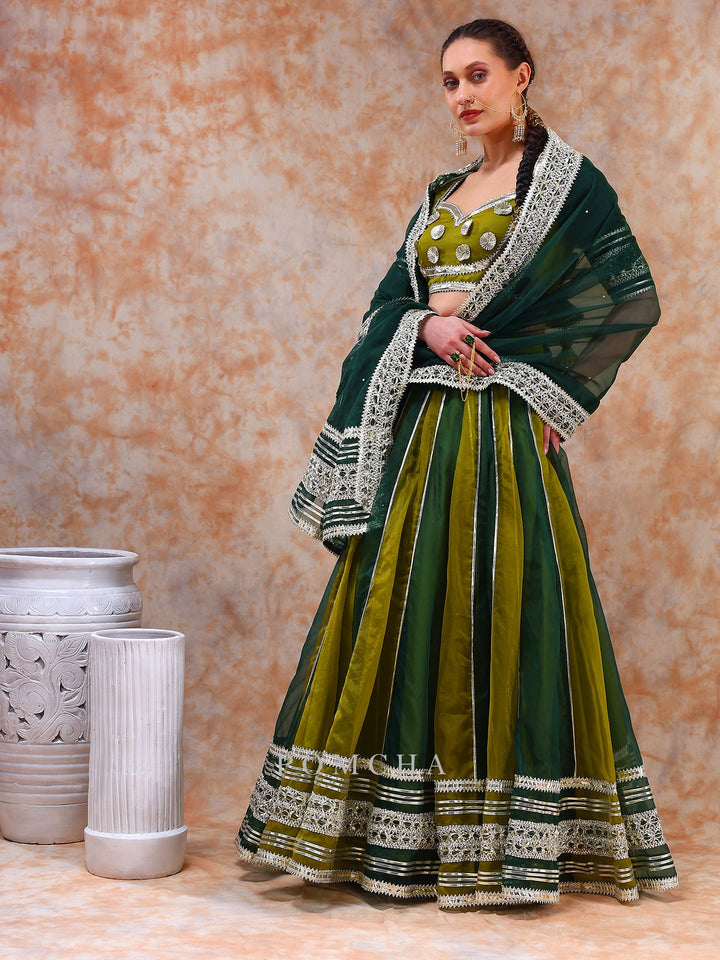 Stylish Olive Green Lehenga Set | Dil Kash Double Shade Ethnic Wear