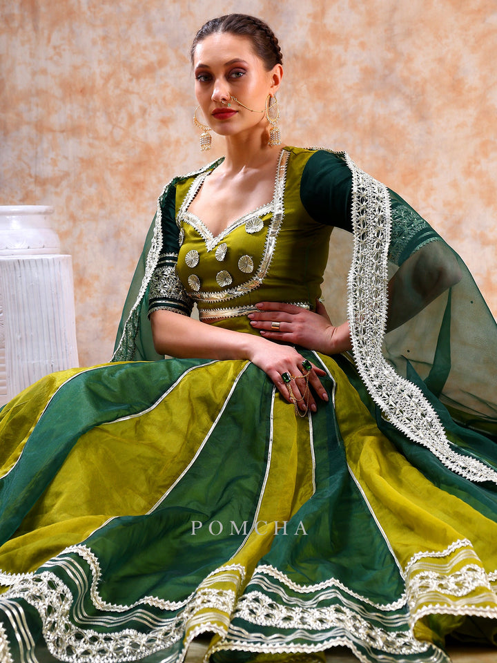 Stylish Olive Green Lehenga Set | Dil Kash Double Shade Ethnic Wear