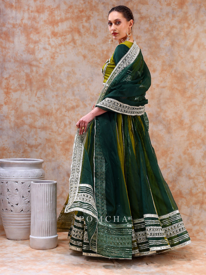 Stylish Olive Green Lehenga Set | Dil Kash Double Shade Ethnic Wear