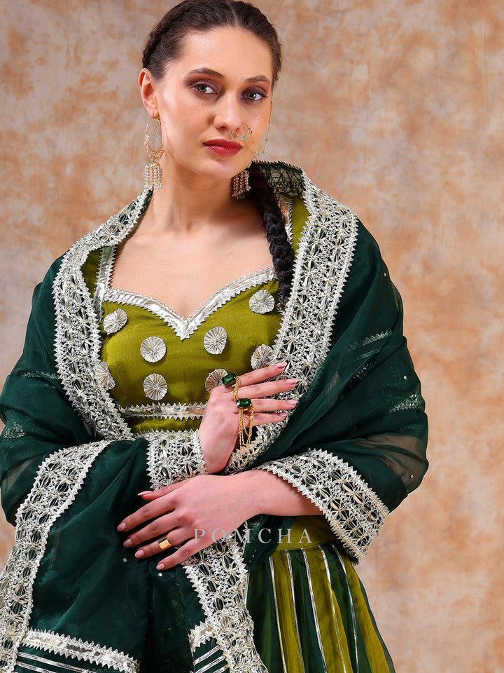 Stylish Olive Green Lehenga Set | Dil Kash Double Shade Ethnic Wear