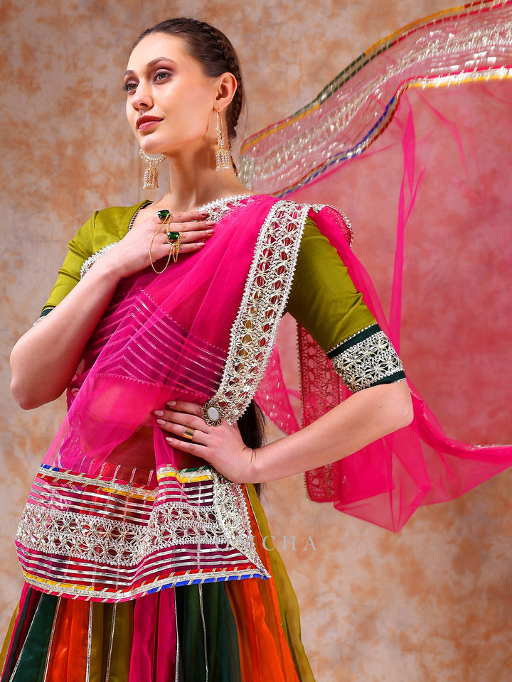 Vibrant Elegance Unveiled | Dil Kash Multicolor Organza Lehenga