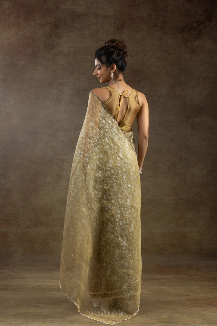 Beautiful Organza Saree with Foil Printed Blouse - Enhance Your Style!