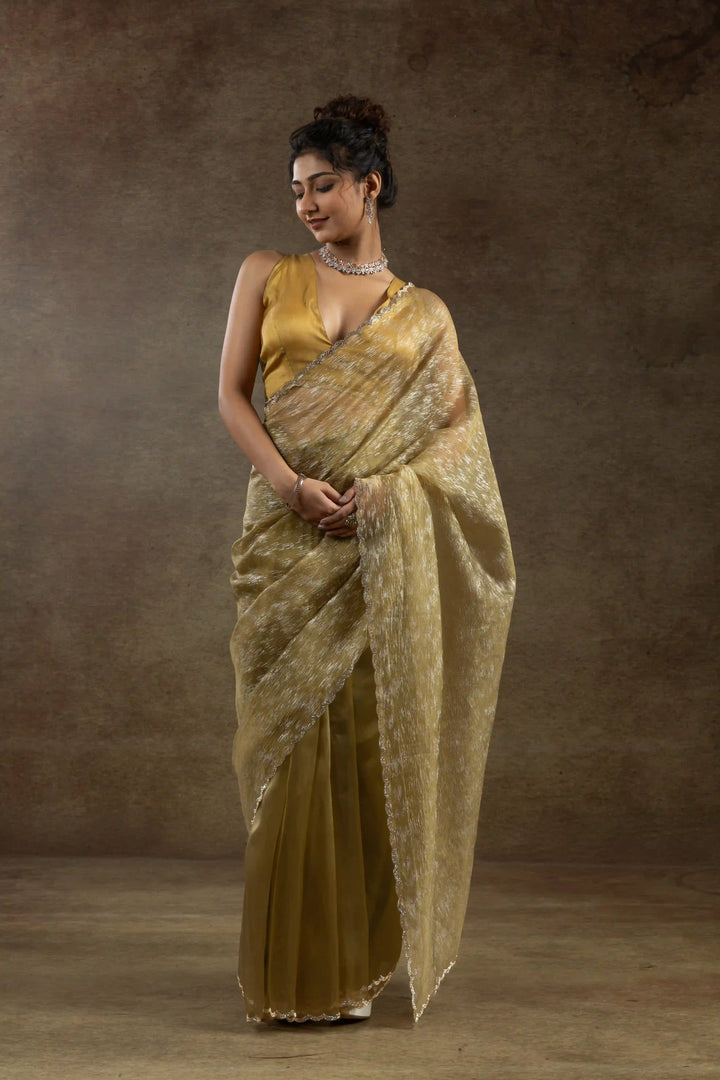 Beautiful Organza Saree with Foil Printed Blouse - Enhance Your Style!