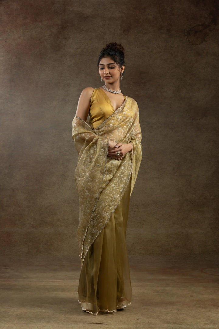 Beautiful Organza Saree with Foil Printed Blouse - Enhance Your Style!