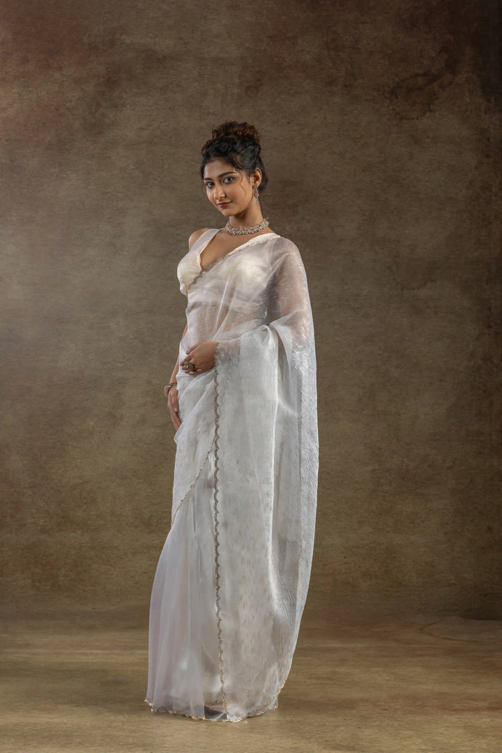 Beautiful Organza Saree with Foil Printed Blouse - Enhance Your Style!