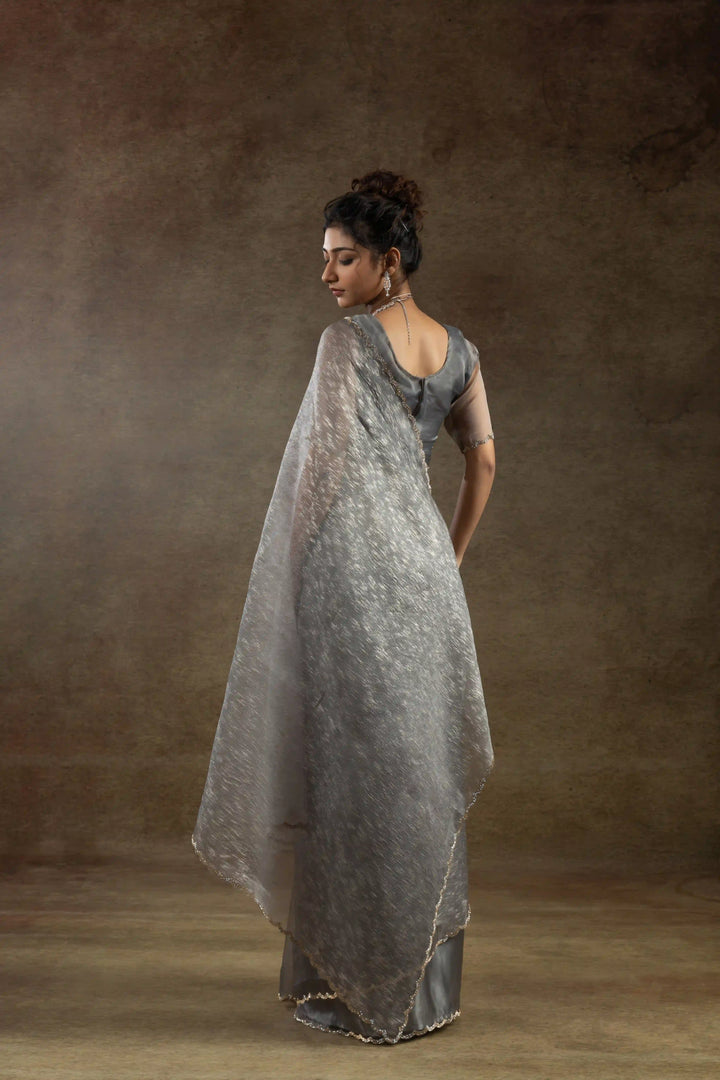 Beautiful Organza Saree with Foil Printed Blouse - Enhance Your Style!