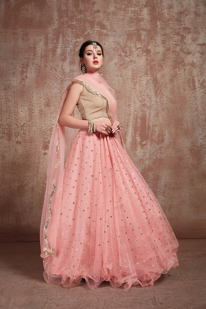 Elegant Baby Pink Lehenga | Lycra Gota Blouse with Soft Net Dupatta