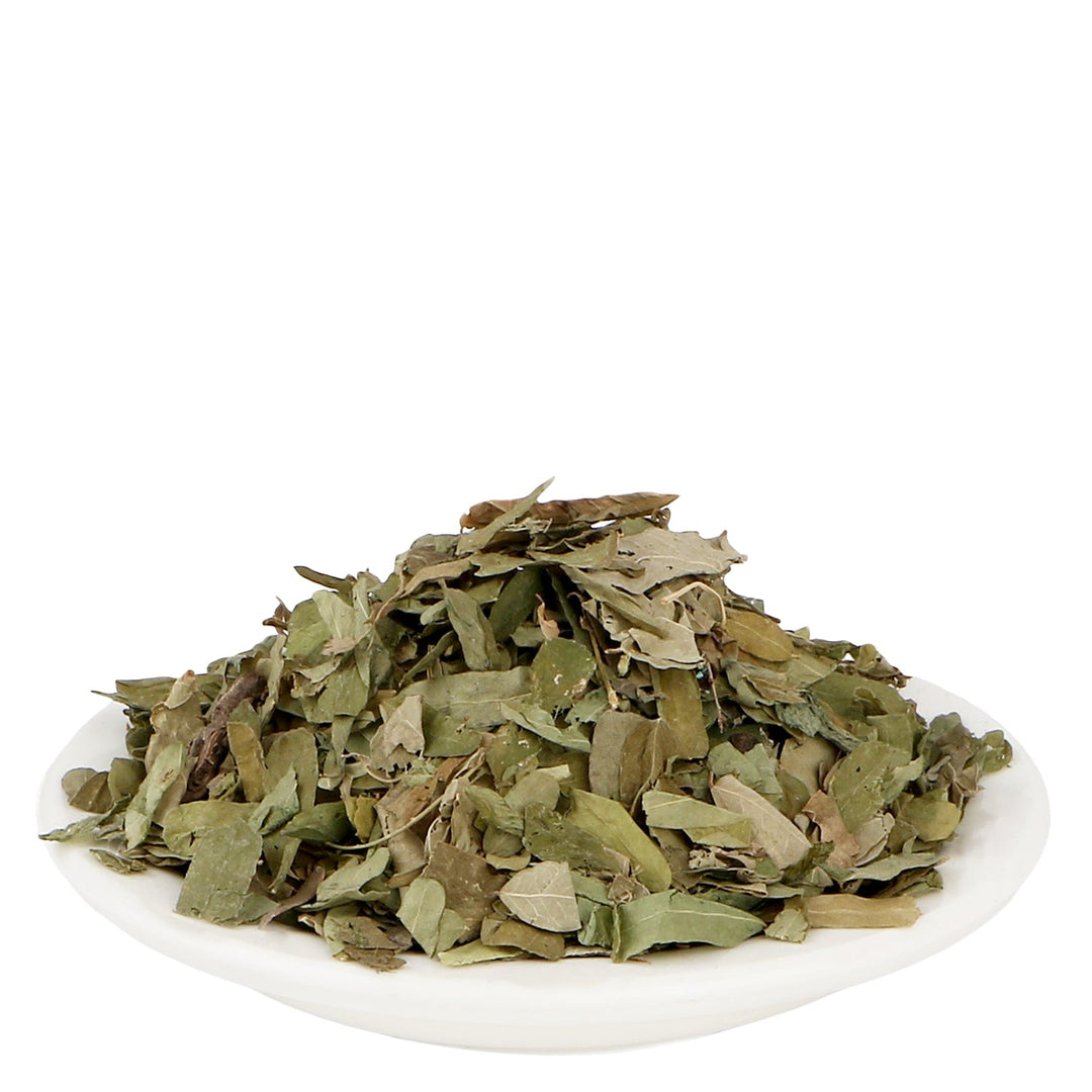 Chirmati Patta - Cirmitti Leaves 
