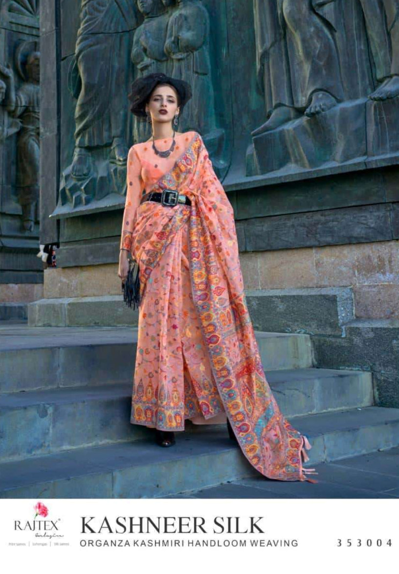 Designer Kashmiri Pashmina Organza Silk Saree | Traditional Indian Wear