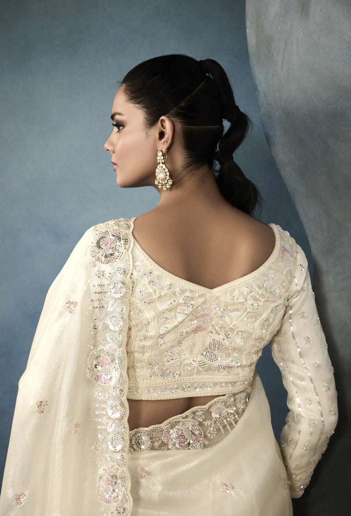 Stunning Handwork Cutwork Tissue Saree in Cream Shade