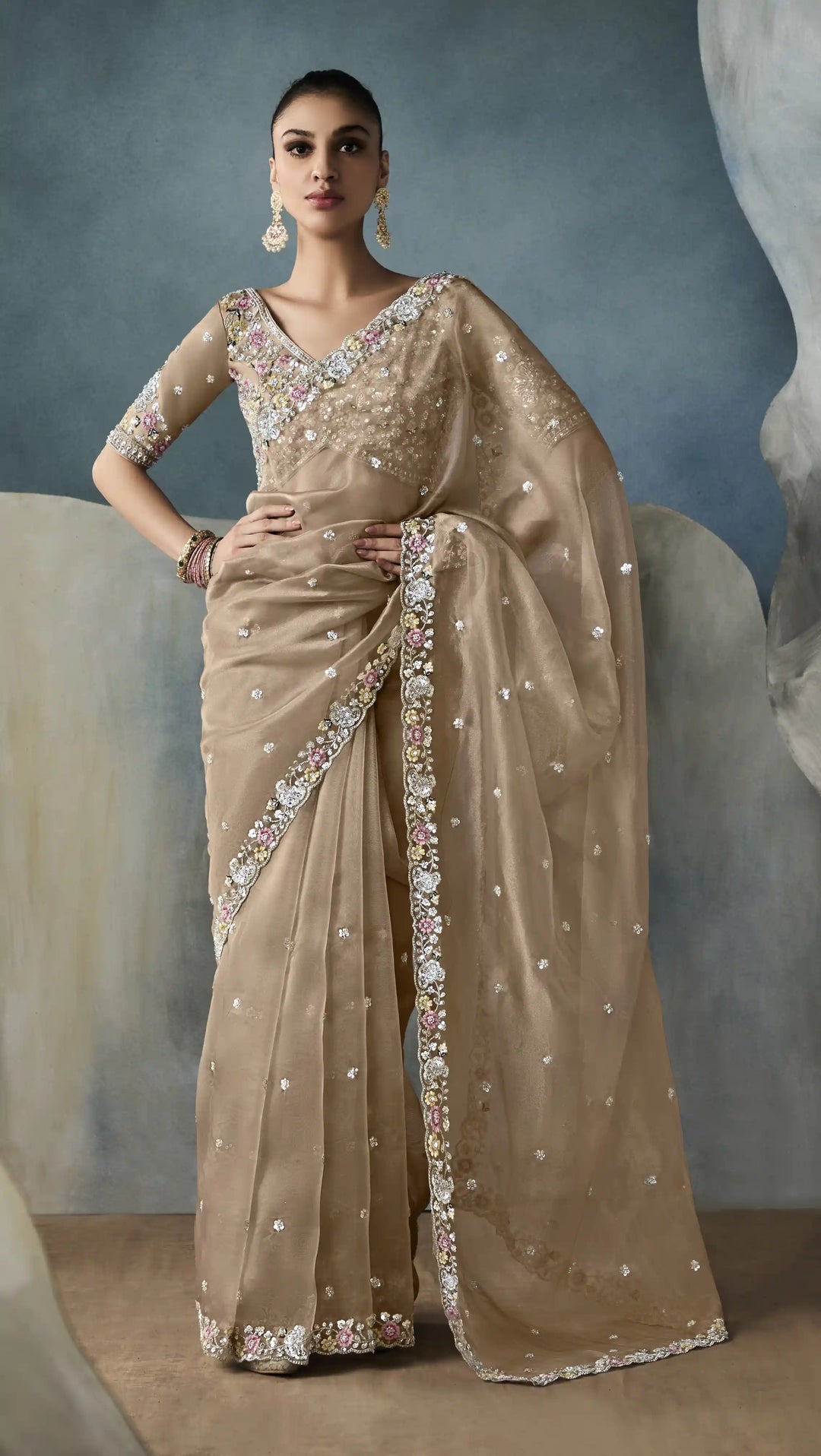 Classy Beige Tissue Saree with Beautiful Handcrafted Border Design