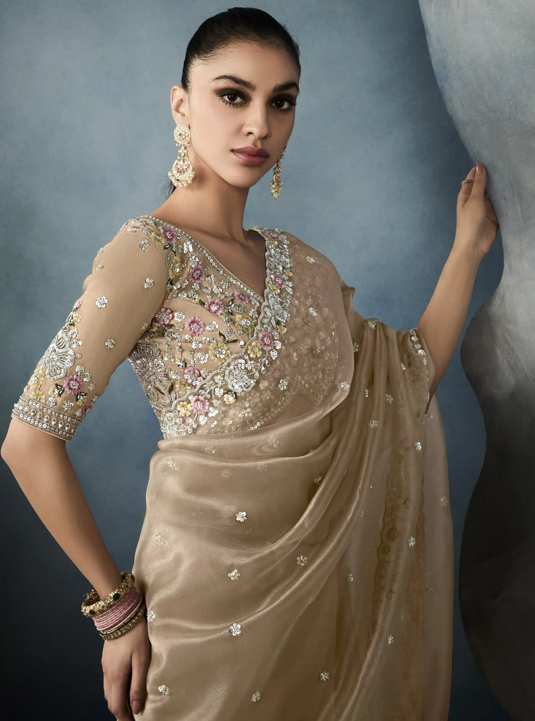 Classy Beige Tissue Saree with Beautiful Handcrafted Border Design