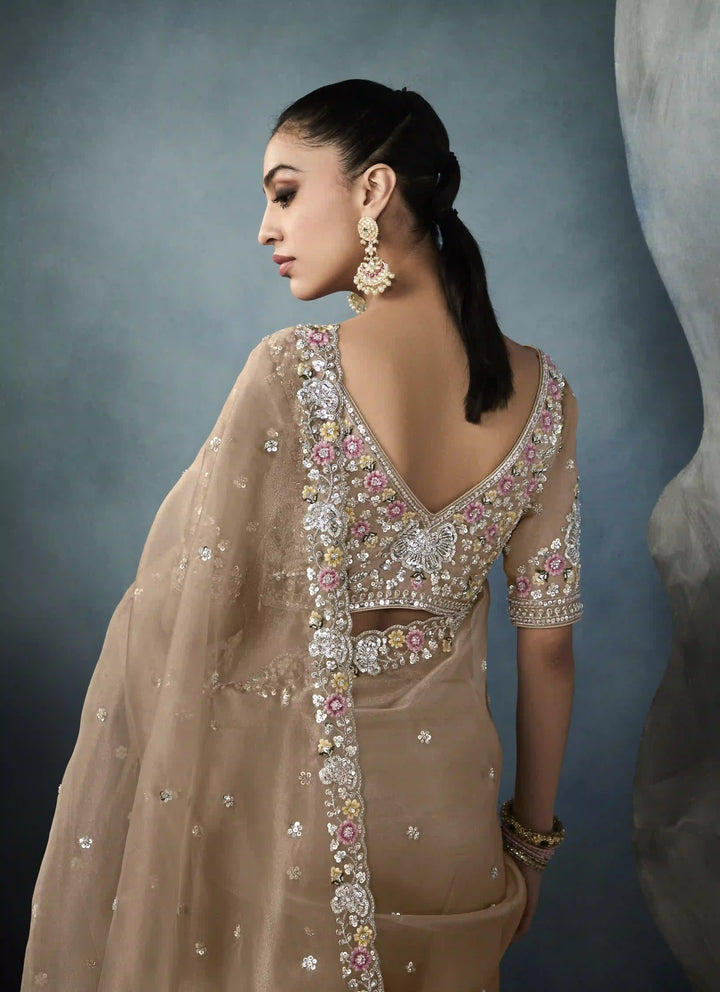 Classy Beige Tissue Saree with Beautiful Handcrafted Border Design