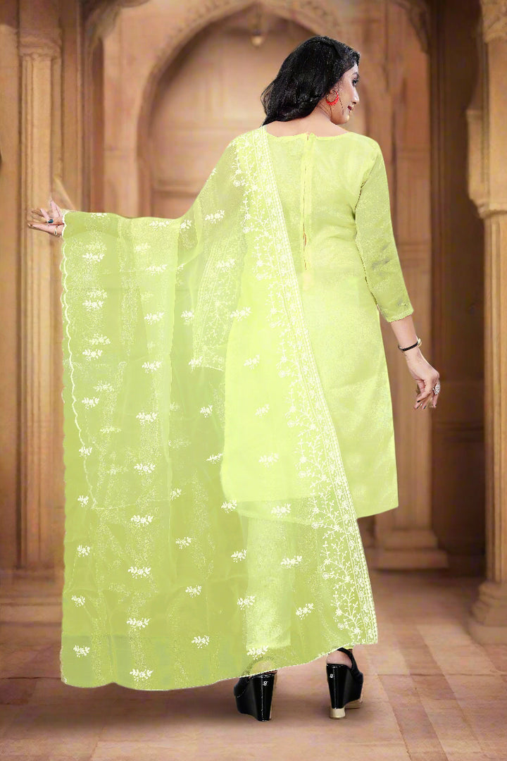 Stylish Organza Salwar Suit | Designer Embroidery & Santoon Bottom for Festive