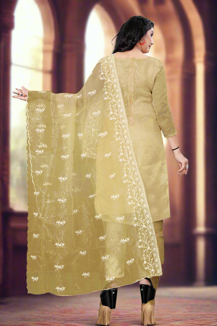 Stylish Organza Salwar Suit | Designer Embroidery & Santoon Bottom for Festive