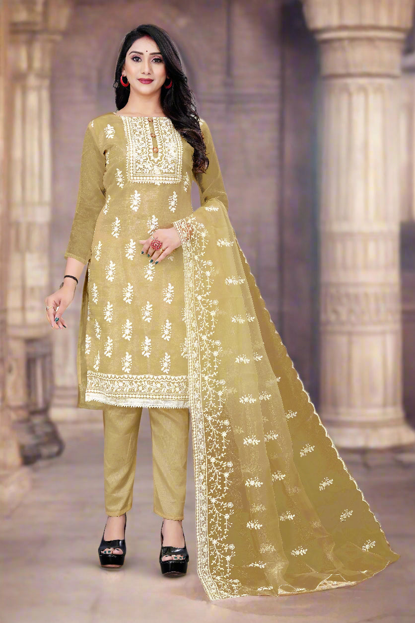 Stylish Organza Salwar Suit | Designer Embroidery & Santoon Bottom for Festive