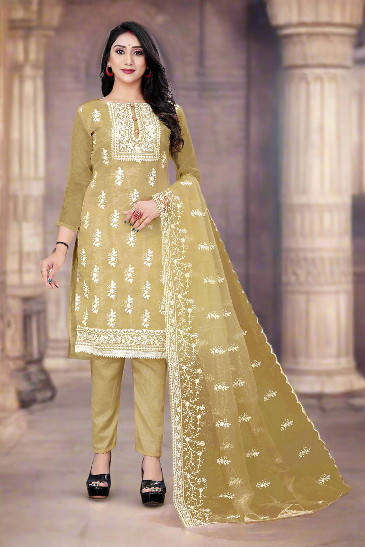 Stylish Organza Salwar Suit | Designer Embroidery & Santoon Bottom for Festive