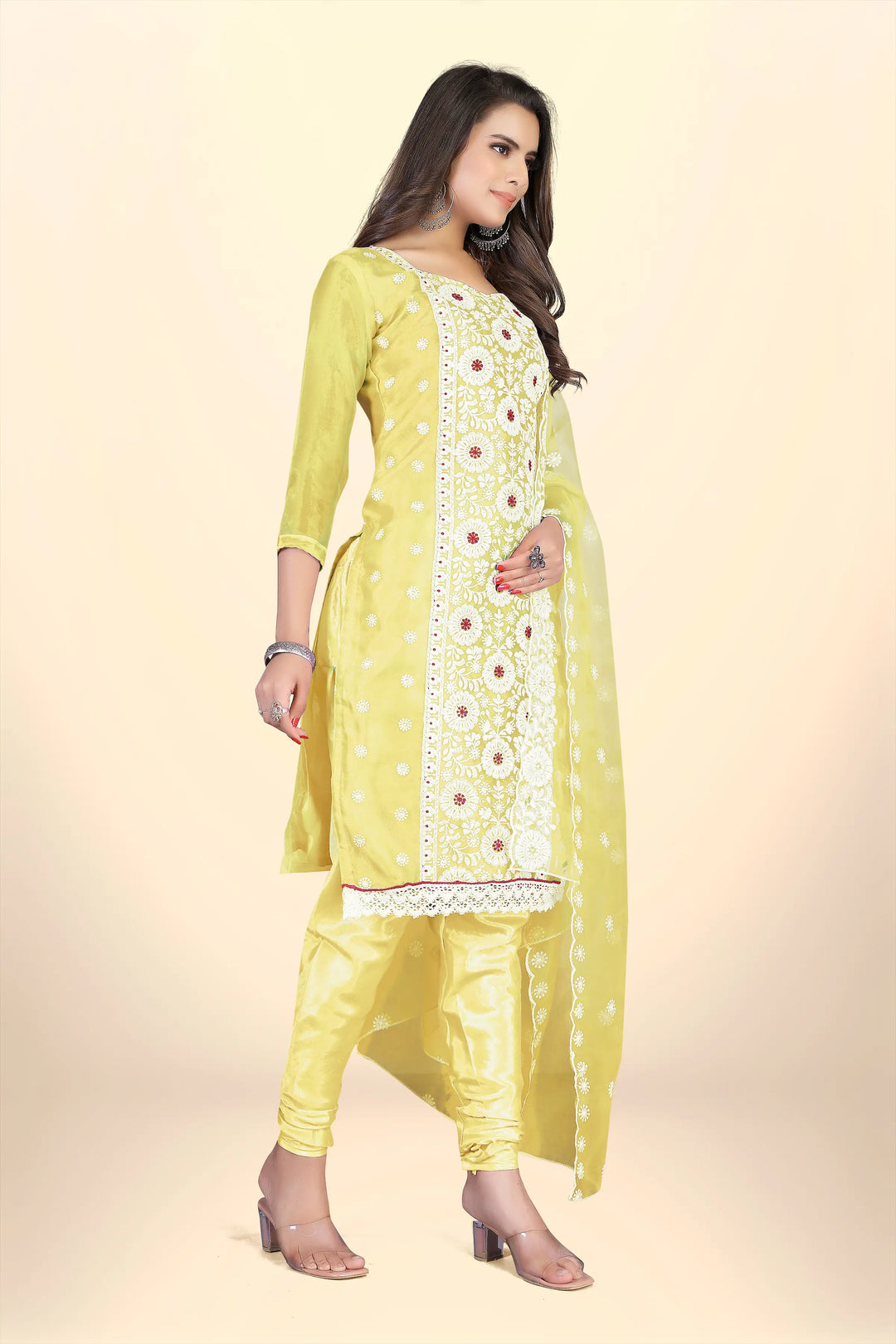 Elegant Organza Suit with Santoon Bottom | Designer Thread Embroidery Work