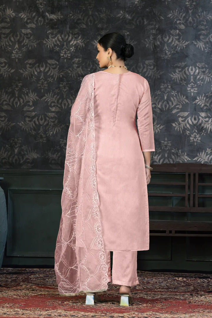 Refined organza Salwar kameez | Festive Elegance
