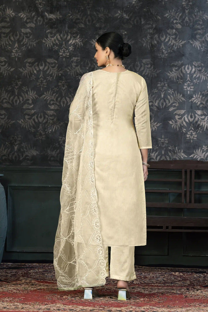 Refined organza Salwar kameez | Festive Elegance