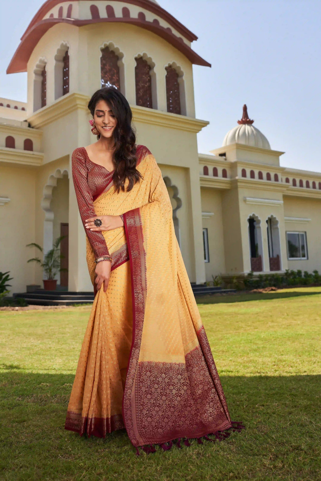 Elegant Georgette Saree | Woven Designer Look for Special Events & Parties