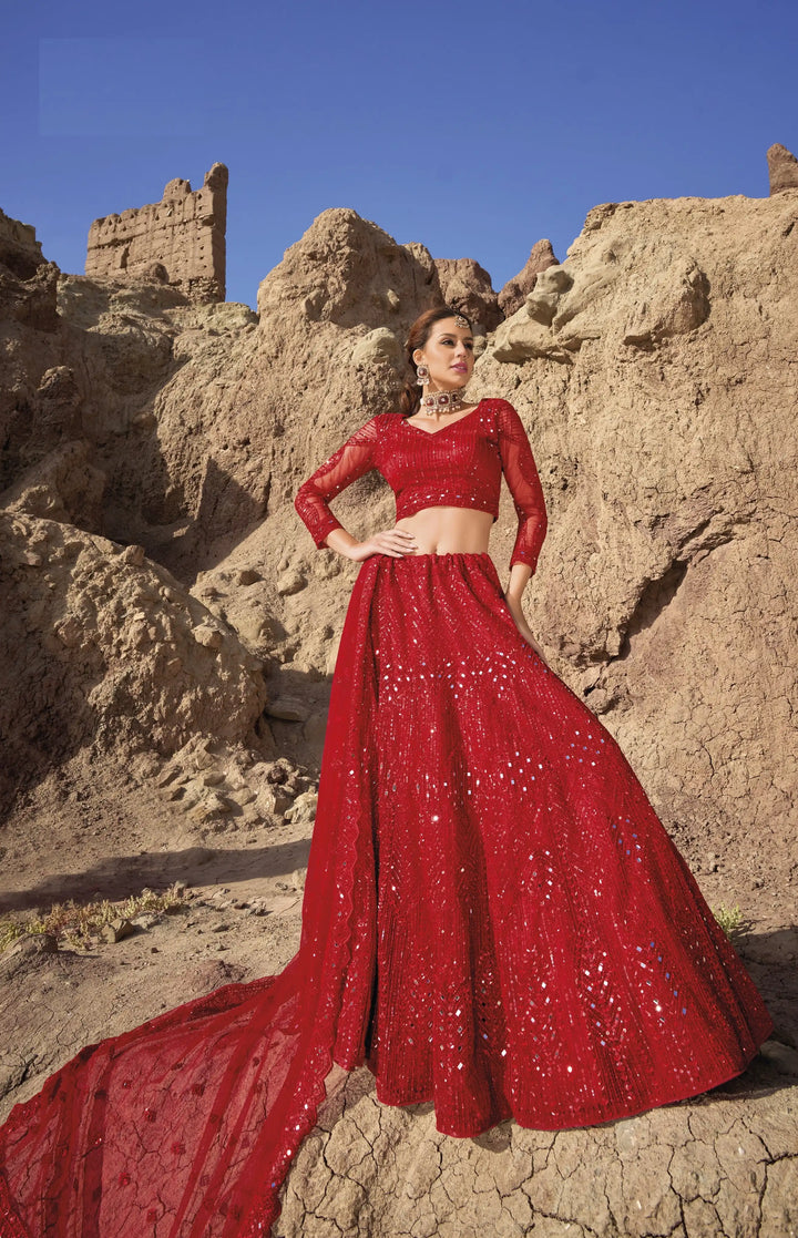 Stunning Net Lehenga with Dupatta | A Graceful Addition to Your Wardrobe