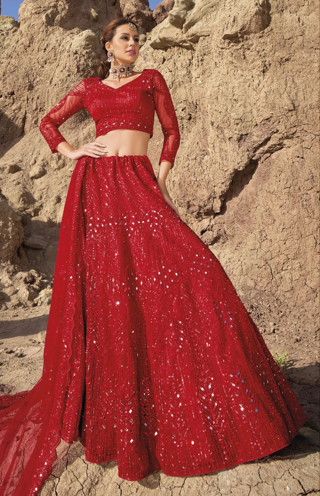Stunning Net Lehenga with Dupatta | A Graceful Addition to Your Wardrobe