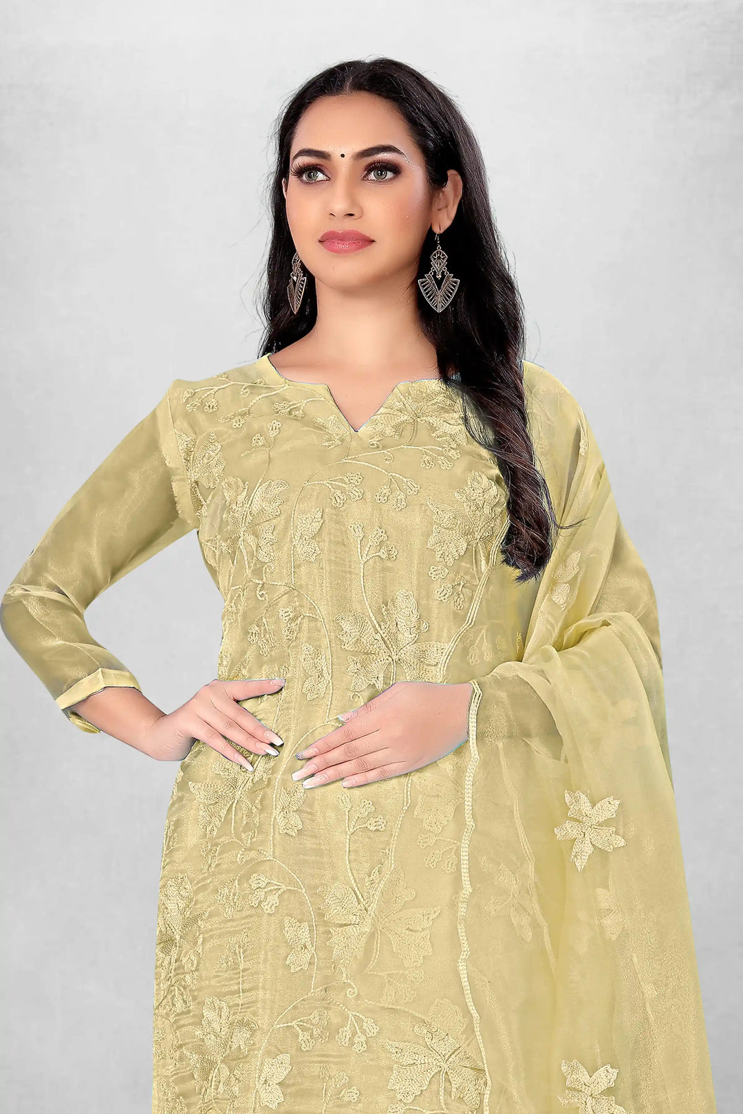 Attractive Organza Top with Santoon Bottom | Embroidery Work Dupatta