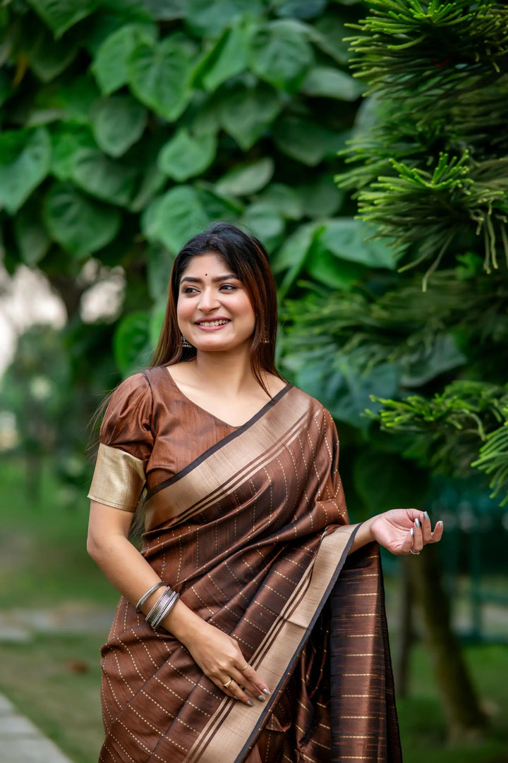 Tusser Silk Party Wear Saree | Designer Wevon Border with Blouse