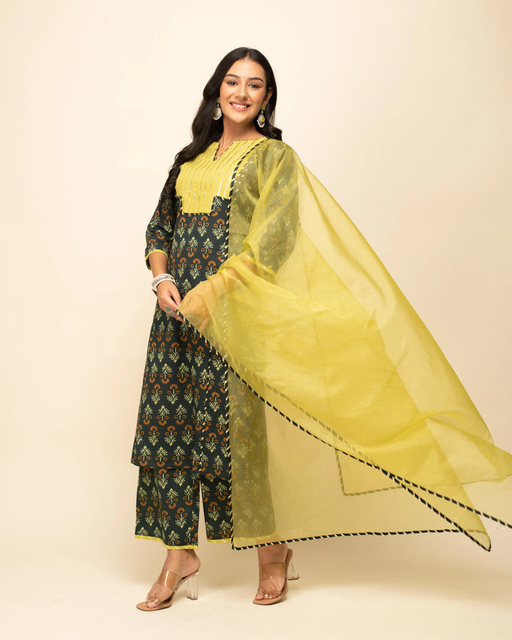 Black Cotton Kurti Set with Organza Dupatta | Printed & Hand Work