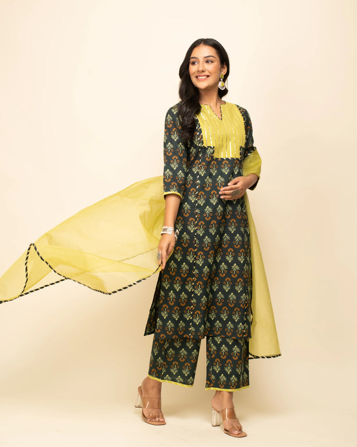 Black Cotton Kurti Set with Organza Dupatta | Printed & Hand Work