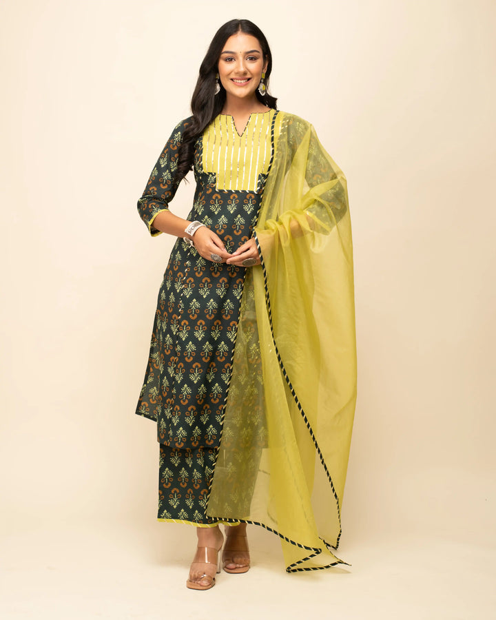 Black Cotton Kurti Set with Organza Dupatta | Printed & Hand Work