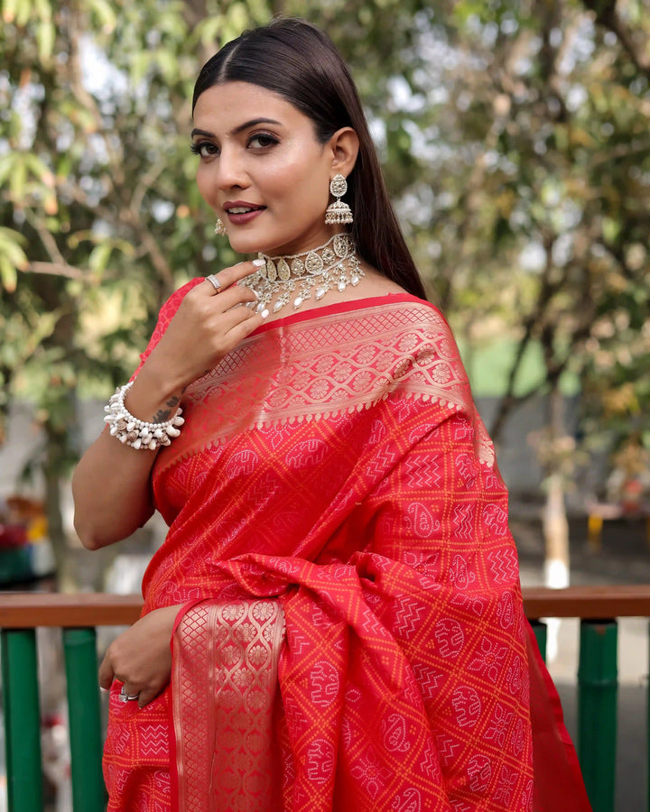 Handloom Silk Saree | Weaving Bandhej Patola Design for Special Events