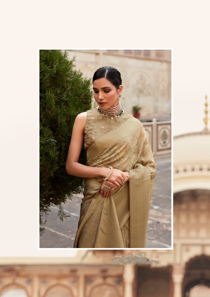 Elegant Tissue Silk Saree with Designer Weaving Border | Perfect for Weddings & Festivals