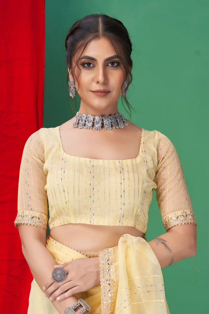 Gorgeous Organza Saree | Perfect for Special Celebrations