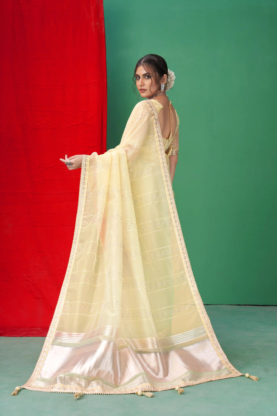 Gorgeous Organza Saree | Perfect for Special Celebrations