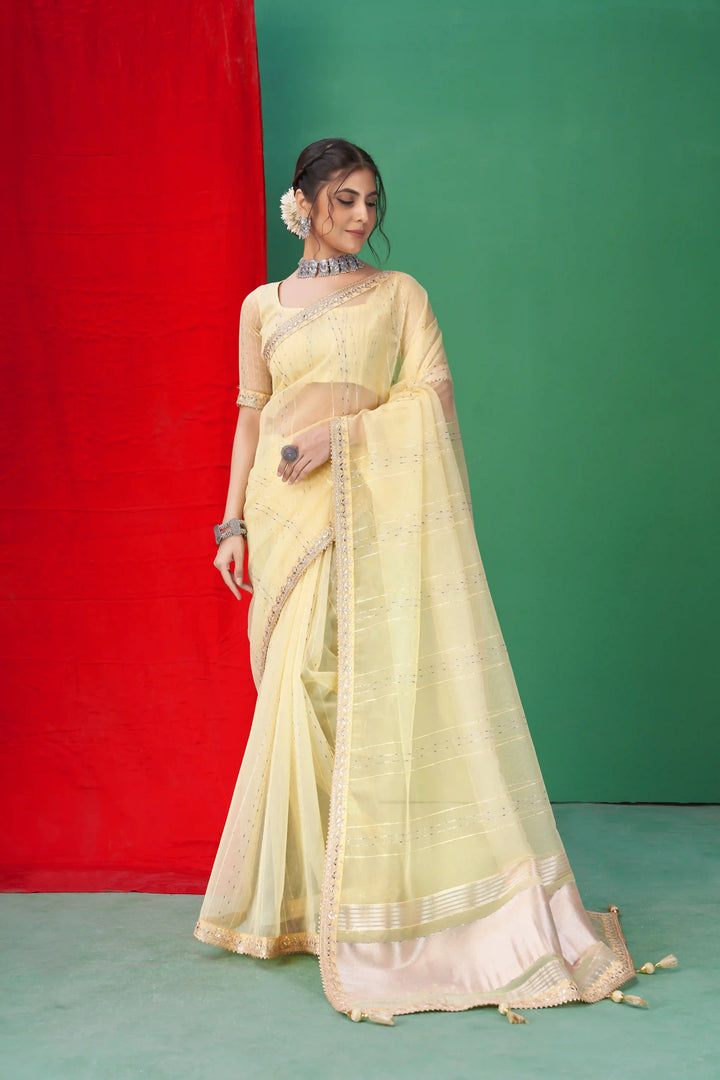 Gorgeous Organza Saree | Perfect for Special Celebrations