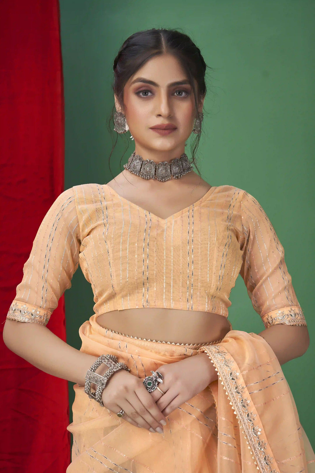 Gorgeous Organza Saree | Perfect for Special Celebrations