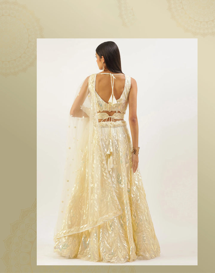 Designer Soft-Net Lehenga | Sequence Embroidery for Weddings & Events