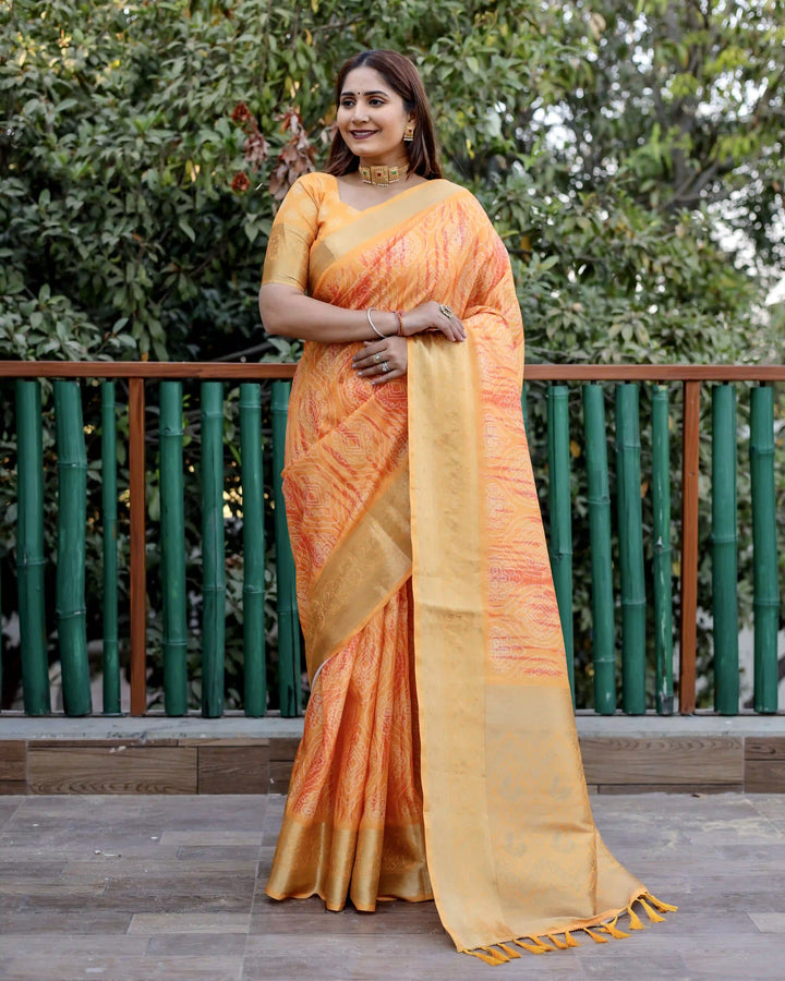 Designer Dola Silk Saree | Beautified with Wevon Pallu Border Designer, Digital Printed Work