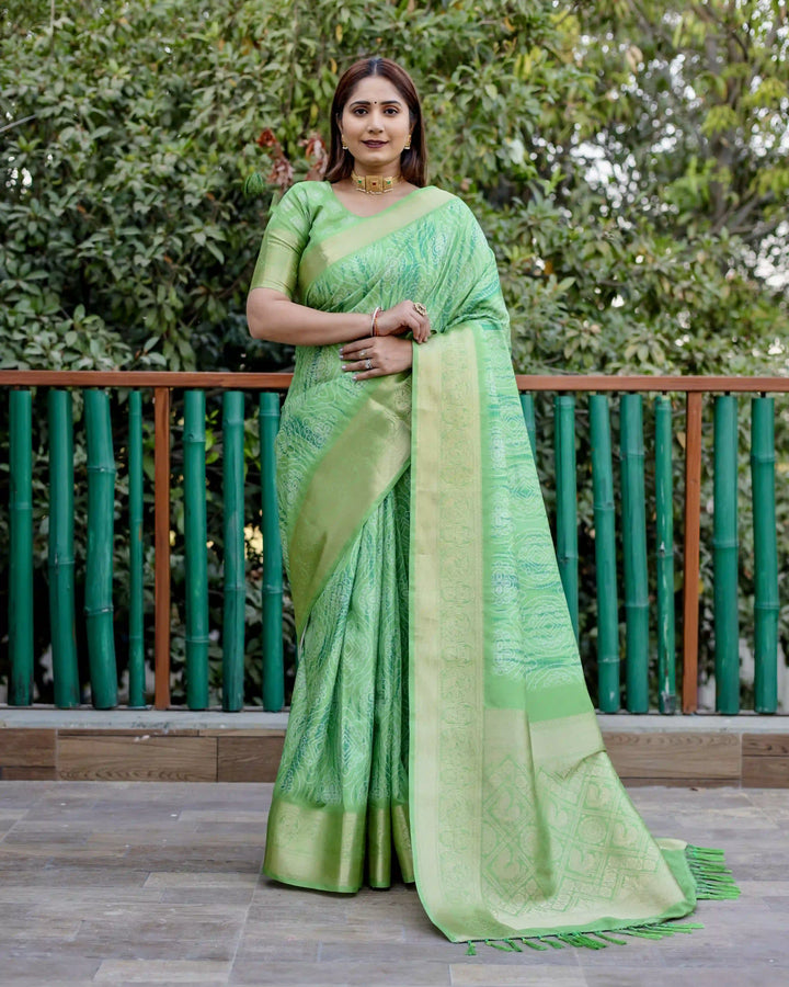 Designer Dola Silk Saree | Beautified with Wevon Pallu Border Designer, Digital Printed Work
