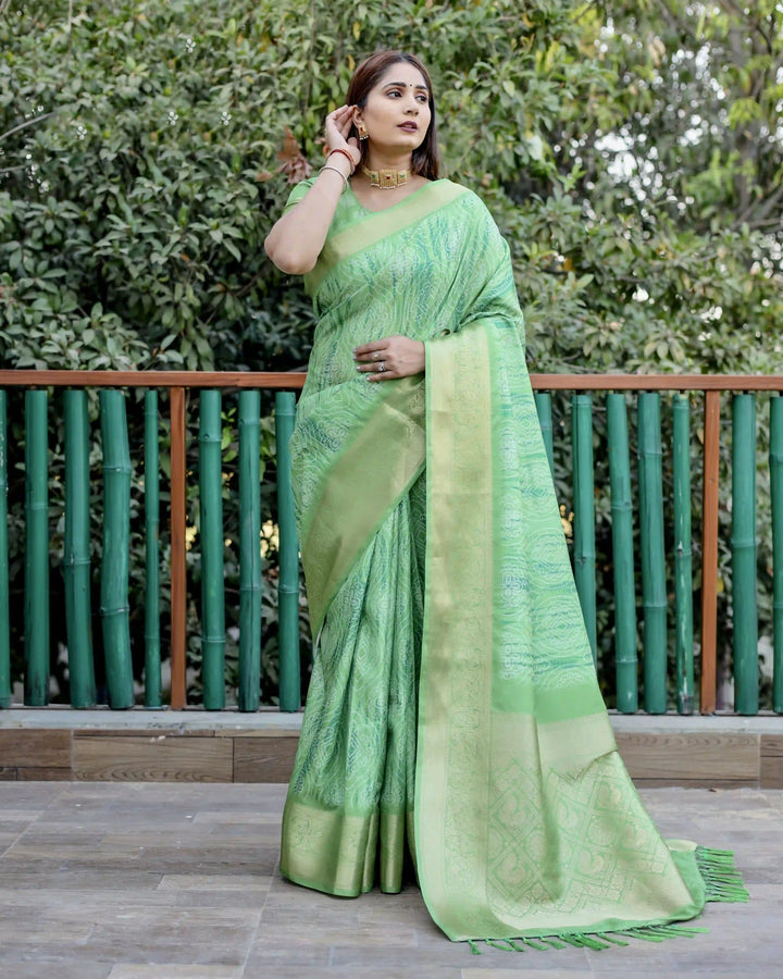 Designer Dola Silk Saree | Beautified with Wevon Pallu Border Designer, Digital Printed Work