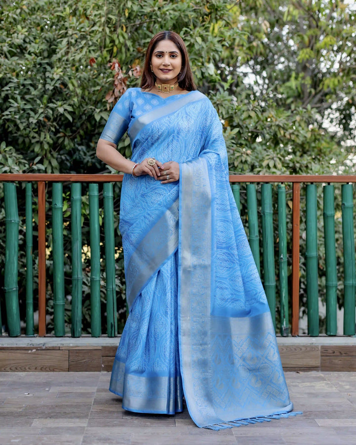 Designer Dola Silk Saree | Beautified with Wevon Pallu Border Designer, Digital Printed Work
