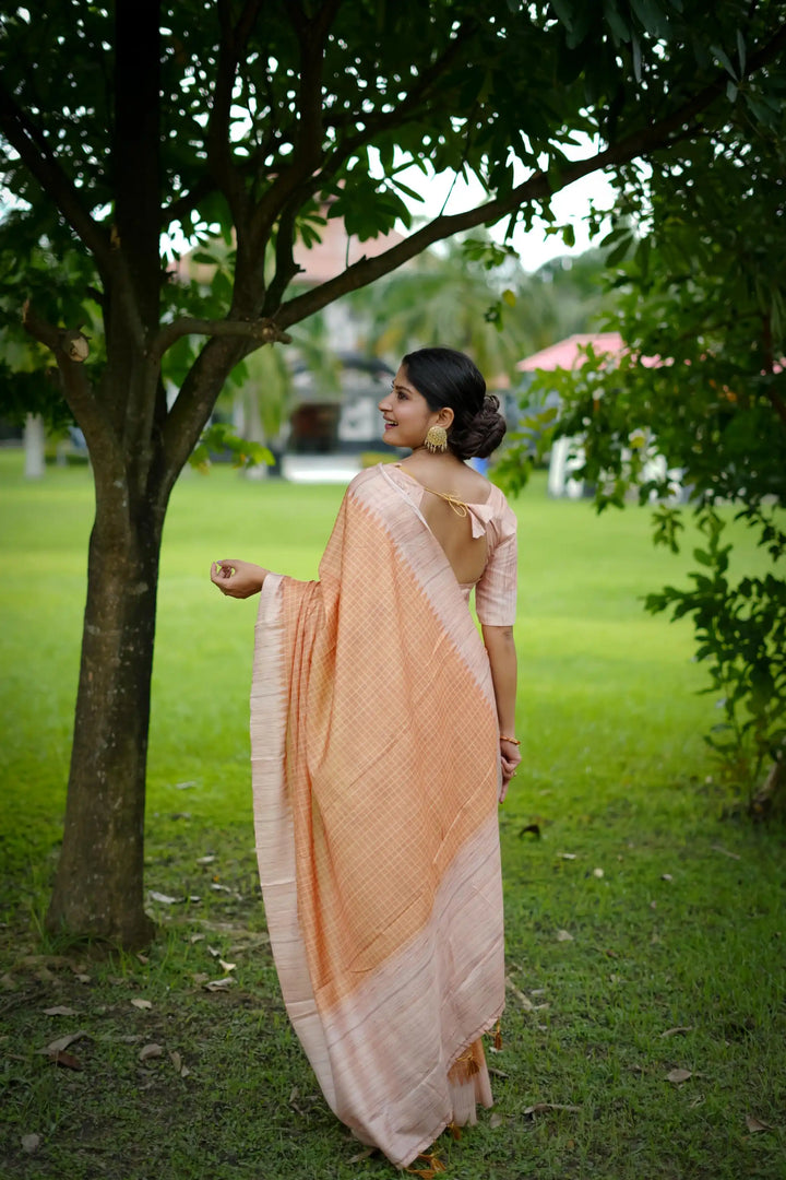 Tussar Silk Saree with Wevon Kantha Designer Print | Special Event & Wedding