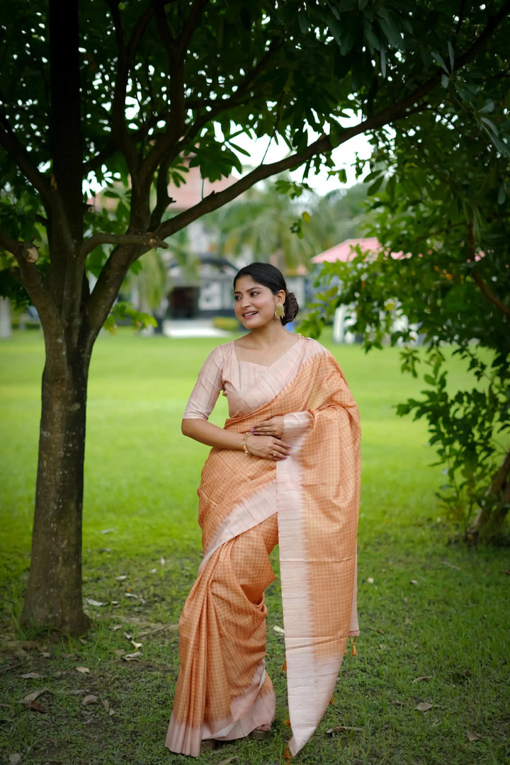 Tussar Silk Saree with Wevon Kantha Designer Print | Special Event & Wedding